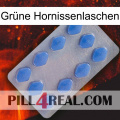 Grüne Hornissenlaschen 21